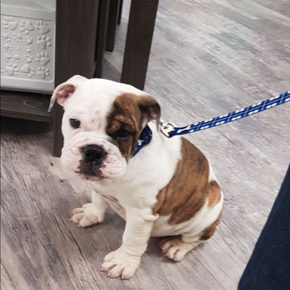 Meet your Posher, Jose